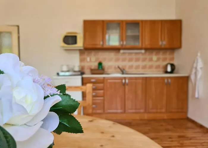 Uzkokolejky - Apartmany Nova Bystrice