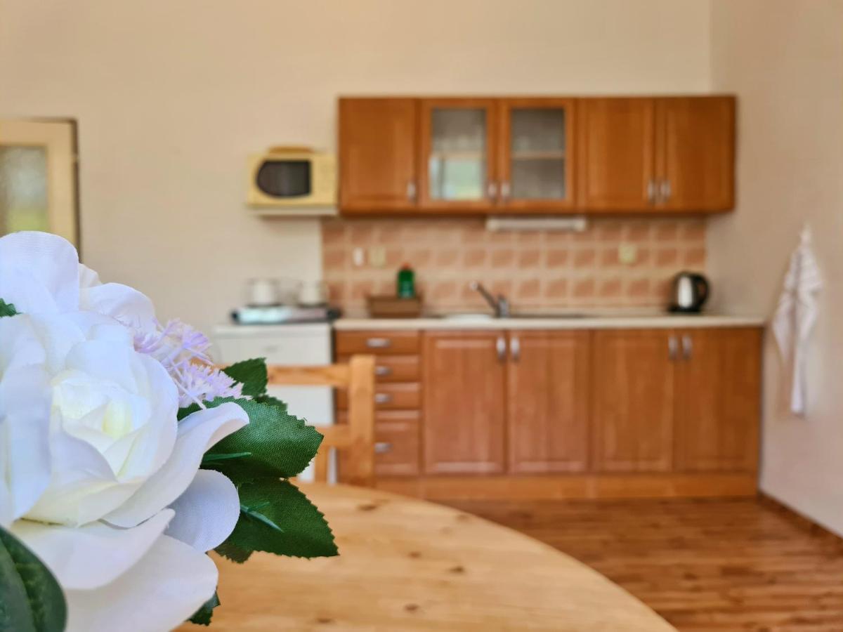 Apartment Uzkokolejky - Nova Bystrice
